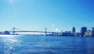 全球足球最新消息发布,球队备赛冲刺